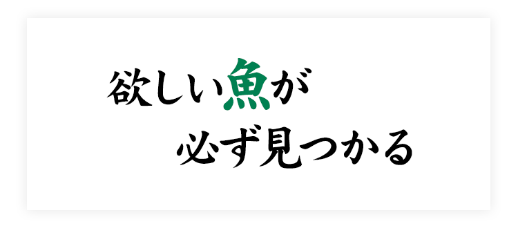 欲しい魚が必ず見つかる