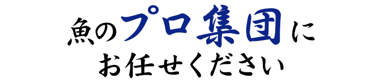 魚のプロ集団にお任せください